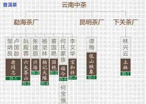 揭秘：生产普洱茶的大厂究竟是哪家公司？