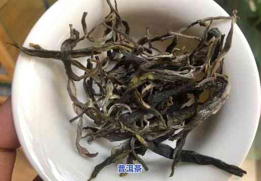 详解老班章与老茶头区别：两款茶叶的特性与价格比较