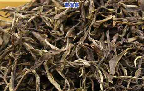 普洱茶笋叶怎样包装保存-普洱茶笋叶怎样包装保存好