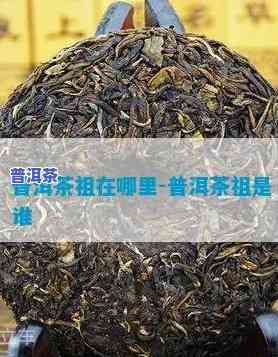 普洱茶五世茶祖是哪五世-普洱茶五世茶祖是哪五世呢