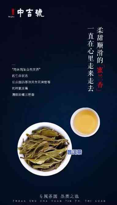 为什么麻黑普洱茶好泡呢-为什么麻黑普洱茶好泡呢怎么回事