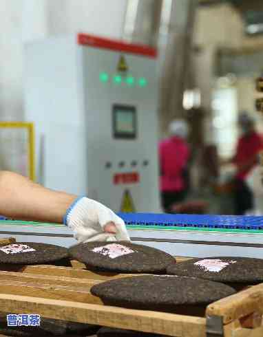 普洱茶大饼加工工厂地址-普洱茶大饼加工工厂地址在哪里