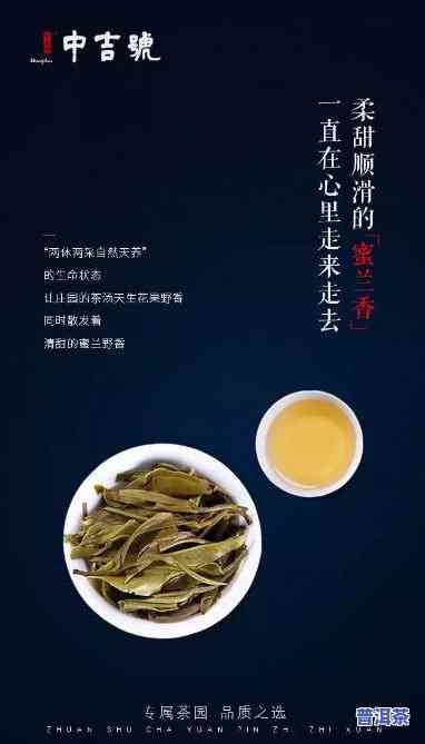 深度解析：为什么麻黑普洱茶好喝？视频讲解详细评测