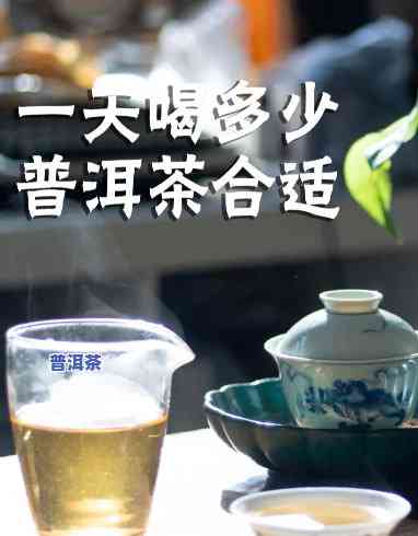 普洱茶一天更佳饮用量：多少克最合适？