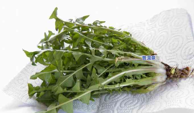 普洱茶饼可以泡几泡水吗-普洱茶饼可以泡几泡水吗怎么泡