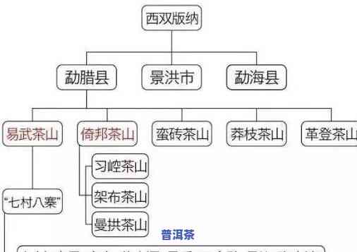 普洱茶分哪些茶区产地？详解其特点与优劣