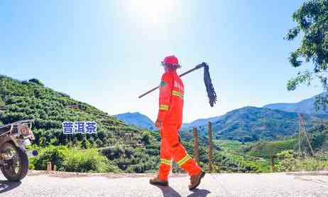 凤凰山普洱茶在哪个茶区更好？深入熟悉其产地优势与品质特点