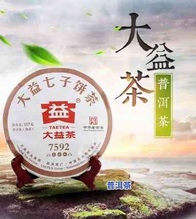 大益普洱茶囤货量多少吨合适，怎样判断囤积大益普洱茶的合适数量？