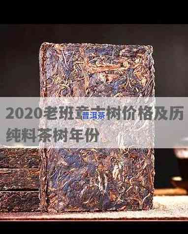 老班章古树多少年树龄？价格怎样？2020年最新资讯！