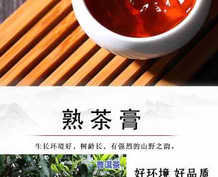 普洱茶茶膏功效与作用点解析