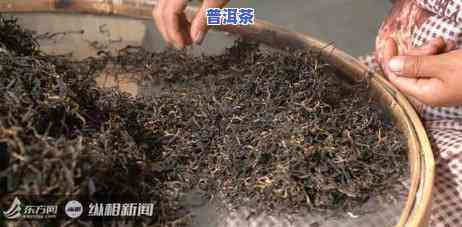 要用汗水才能泡开普洱茶水吗？探索茶叶制作期间的苦与甜