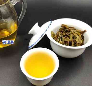 昔归古树普洱茶口感，探秘昔归古树普洱茶的独特口感体验