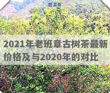 老班章古树茶价格砖-老班章古树茶价格2021