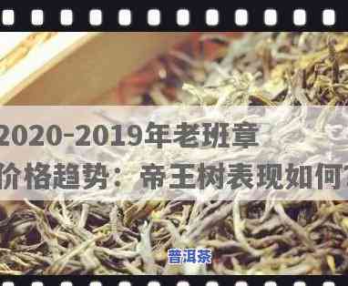 2020年及2021年老班章价格对比：帝王树品种分析