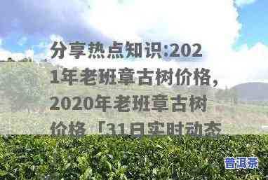 2020-2021年老班章古树茶价格走势分析报告