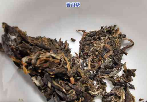 普洱茶里的口粮茶是什么-普洱茶里的口粮茶是什么茶