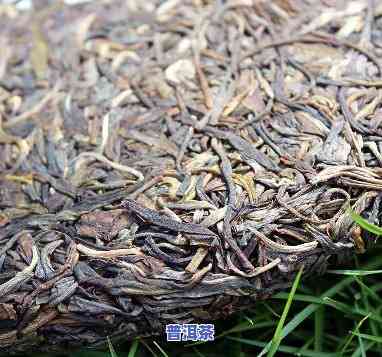 果敢老树发酵普洱茶-果敢普洱茶价格