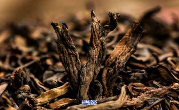 果敢老树发酵普洱茶-果敢普洱茶价格