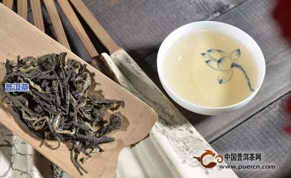 广西老树普洱茶介绍-广西老树普洱茶介绍图片