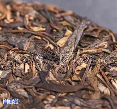 广西老树普洱茶介绍-广西老树普洱茶介绍图片