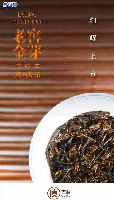 金芽普洱茶推荐哪款更好-金芽普洱茶推荐哪款更好喝