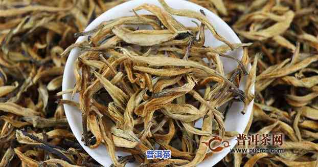 金芽普洱茶推荐哪种好喝-金芽普洱茶推荐哪种好喝一点