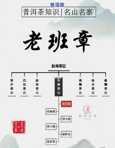 老班章文化发展：官网、基本账号全览