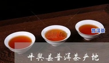 平舆县普洱茶产地是哪里-平舆县普洱茶产地是哪里的