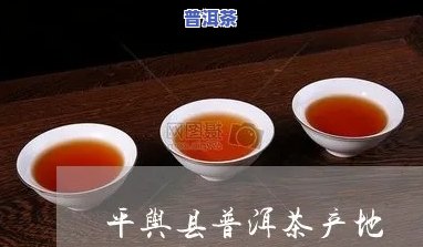 平舆县普洱茶产地究竟在哪儿？最新揭晓！