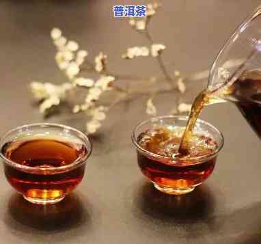 普洱茶不能隔夜吗能喝吗-普洱茶不能隔夜吗能喝吗为什么