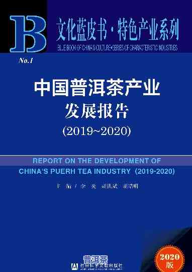 普洱茶发展存在的疑问及对策研究：探讨与解决策略