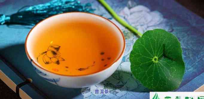 普洱茶可以喝莲花清瘟吗-喝普洱茶能吃花生吗