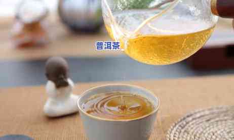 问专家：普洱茶正确冲泡方法是什么？