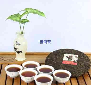 喝普洱茶茶醉，普洱茶的魅力：一杯茶醉，品味生活