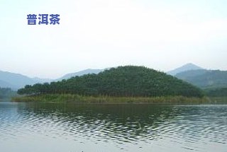 南岛河茶叶价格：熟悉产品品质与工厂信息