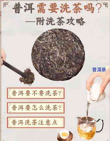 喝普洱为什么要洗茶叶，揭秘普洱茶的正确泡法：为何要洗茶叶？