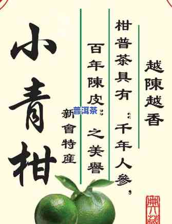 新疆柑皮普洱茶批发厂家在哪里，新疆柑皮普洱茶批发厂家位置查询指南