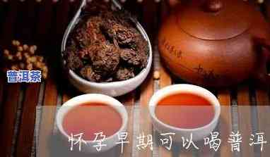 早孕喝很淡的普洱茶好吗-早孕喝很淡的普洱茶好吗