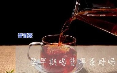 早孕喝很淡的普洱茶好吗-早孕喝很淡的普洱茶好吗