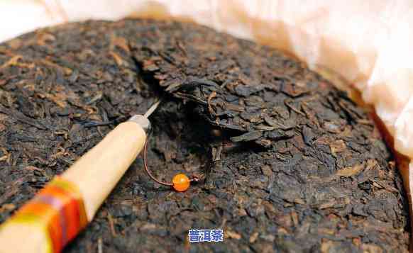 深入熟悉：普洱茶与绿茶的储存方法有何区别？