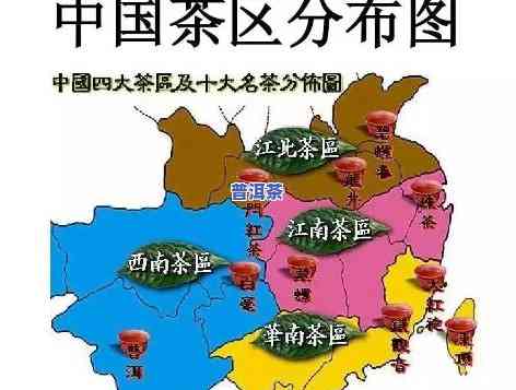 大红袍茶产地在哪个省份，揭秘名茶：大红袍的故乡在哪里？