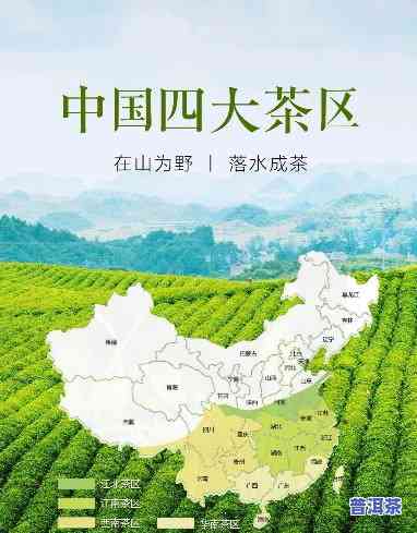 大红袍茶产地在哪个省份，揭秘名茶：大红袍的故乡在哪里？