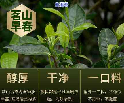 云南久旺元茶业，探秘云南久旺元茶业：高品质茶叶的生产与销售