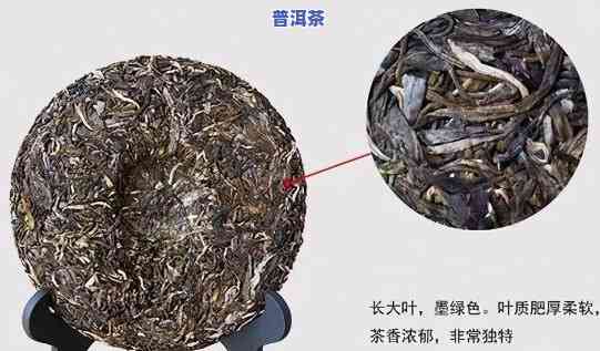 中茶普洱茶真伪鉴别视频讲解，揭秘中茶普洱茶真伪：详细视频讲解解析