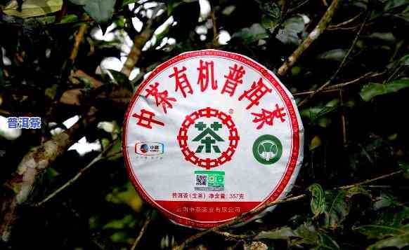 中茶普洱茶真伪鉴别视频-中茶普洱茶真伪鉴别视频讲解