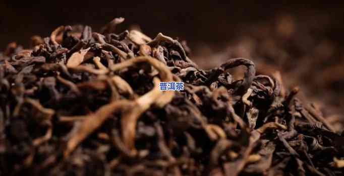 回甘更好的熟普洱茶-回甘更好的熟普洱茶有哪些