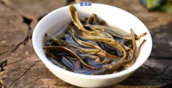 古树普洱茶批发价多少钱-古树普洱茶批发价多少钱一斤