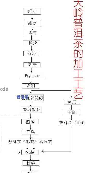 全程揭秘：老普洱茶制作工艺流程视频教程