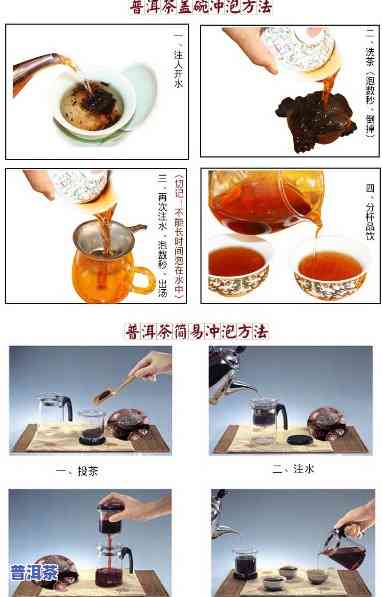 全面熟悉老普洱茶的冲泡方法及步骤视频