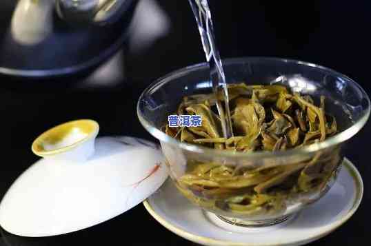 怎样泡老班章普洱茶更好喝：冲泡方法全解析